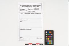 Foto von Haare (NHMW-PRAE-125486)
